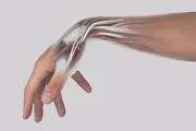 Wrist with view of nerves and tendons