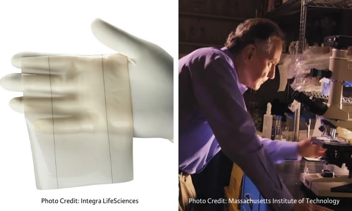 Integra 35 Year Anniversary